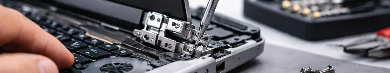 Cambio Bisagras Laptops