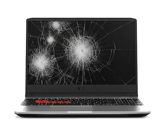 Reparacion Pantalla Portatiles Acer Madrid Pg1